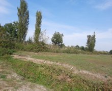 elanlari alqi satqisi elanlari Lənkəran ş.