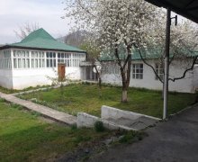 Satılır Torpaq Qəbələ ş.