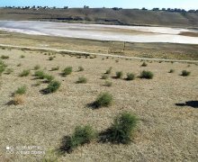 rayonlarda torpaq alqi satqisi Mehdiabad, Abşeron r.