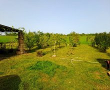 elanlari alqi satqisi elanlari Xaçmaz / Nabran ş.