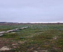 Продажа Участок Туркян, Хязяр р.
