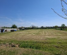 Satılır Torpaq Sabirabad ş.