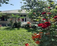 Kirayə (günlük) Həyət evi/villa Qax ş. Kirayə (günlük) Həyət evi/villa Qax ş.