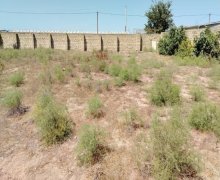 Satılır Torpaq Zirə, Xəzər r.