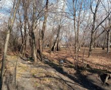 Satılır Torpaq Qəbələ ş.