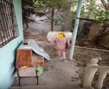 Kirayə (aylıq) Həyət evi/villa İnşaatçılar m., Yeni Yasamal qəs., Yasamal r.