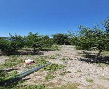 Satılır Torpaq Binə qəs., Xəzər r.