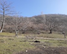 qebelede torpaq alqi satqisi Qəbələ ş.