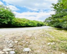 ismayillida torpaq alqi satqisi İsmayıllı ş.