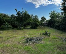 Satılır Torpaq Zaqatala ş.