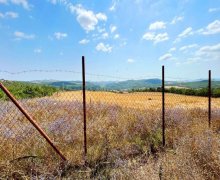 ismayillida torpaq alqi satqisi İsmayıllı ş.