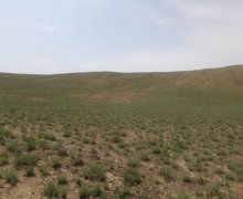 Satılır Torpaq İnşaatçılar m., Yeni Yasamal qəs., Yasamal r.