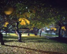 Satılır Köhnə Tikili 20 Yanvar m., 1-ci mikrorayon, Nəsimi r.