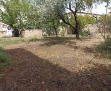Satılır Torpaq Elmlər akademiyası m., Badamdar qəs., Səbail r.