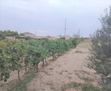 mastagada torpaq alqi satqisi Maştağa qəs., Sabunçu r.