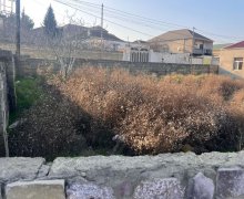 rayonlarda torpaq alqi satqisi Fatmayi, Abşeron r.