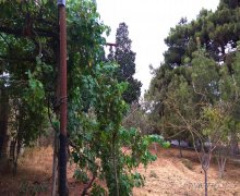 Satılır Bağ evi Mərdəkan, Xəzər r.