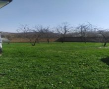 Satılır Torpaq Qəbələ ş.