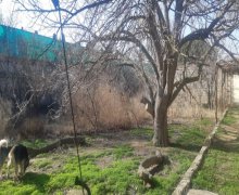 mastagada torpaq alqi satqisi Maştağa qəs., Sabunçu r.