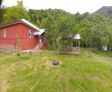 Kirayə (günlük) Həyət evi/villa Qəbələ ş.