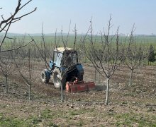 Satılır Torpaq Qusar ş.