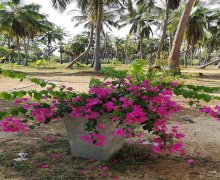 xaricde dasinmaz emlak B.Ə.Ə