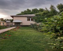 1 otaqli günlük heyet evi kiraye/villa Qəbələ ş. 1 otaqli günlük heyet evi kiraye/villa Qəbələ ş.