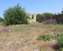 rayonlarda torpaq alqi satqisi Goradil, Abşeron r.