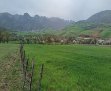 elanlari alqi satqisi elanlari Lerik ş.