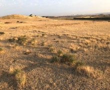 kreditle torpaq alqi satqis Fatmayi, Abşeron r.