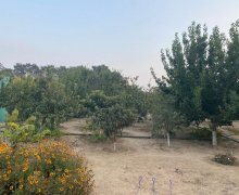 Satılır Torpaq Mərdəkan, Xəzər r.