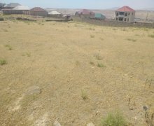 rayonlarda torpaq alqi satqisi Abşeron r.