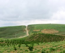 elanlari alqi satqisi elanlari Şamaxı ş.