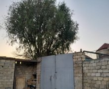 novxanida torpaq satilir Novxanı, Abşeron r.