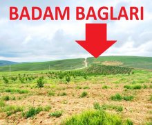 elanlari alqi satqisi elanlari Şamaxı ş.