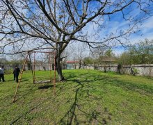 Satılır Torpaq Qəbələ ş.