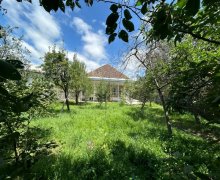 sekide günlük kiraye evler/villa Şəki ş.