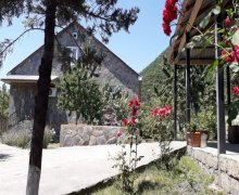 Kirayə (günlük) Həyət evi/villa Qəbələ ş.