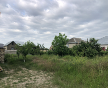 Satılır Torpaq Qusar ş.