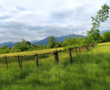 Satılır Torpaq Qəbələ ş.