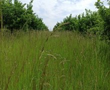 Satılır Torpaq Qusar ş.