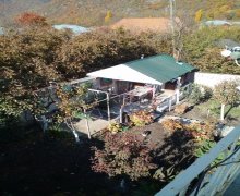 Kirayə (günlük) Həyət evi/villa Qax ş. Kirayə (günlük) Həyət evi/villa Qax ş.