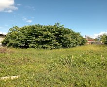 Satılır Torpaq Zaqatala ş.