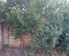 Satılır Torpaq Binə qəs., Xəzər r.