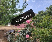 Продажа Дача Сарай, Абшерон р.