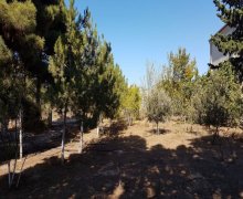 Satılır Torpaq Mərdəkan, Xəzər r.