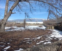 ismayillida torpaq alqi satqisi İsmayıllı ş.