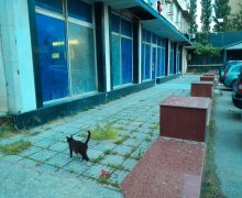 Satılır Obyekt Nəriman Nərimanov m., Nərimanov r.