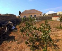 rayonlarda torpaq alqi satqisi Məhəmmədli, Abşeron r.