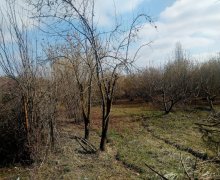 Satılır Torpaq Qusar ş.